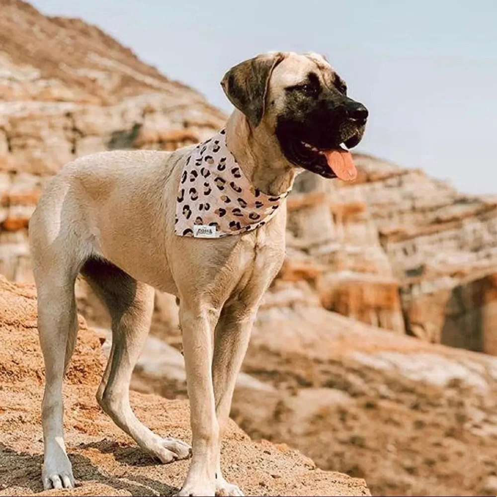 THE PAWS COTTON DOG BANDANA ROARING JUNGLE SIZE XL 17”-23” NWT